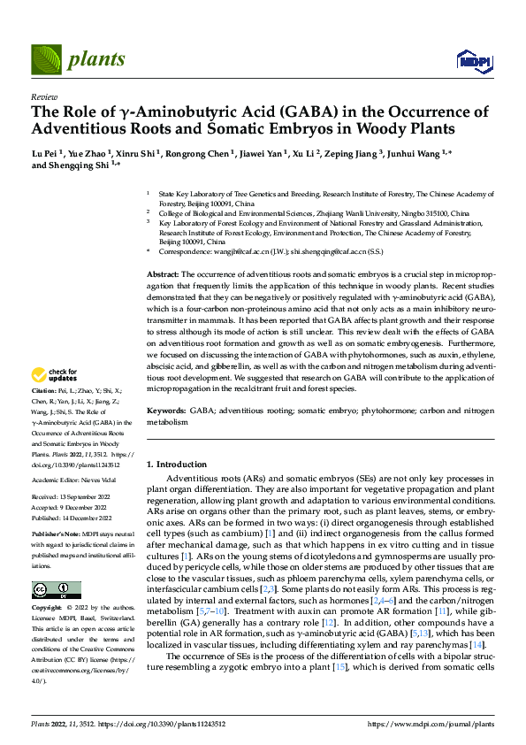 (PDF) The Role of γ-Aminobutyric Acid (GABA) in the Occurrence of ...