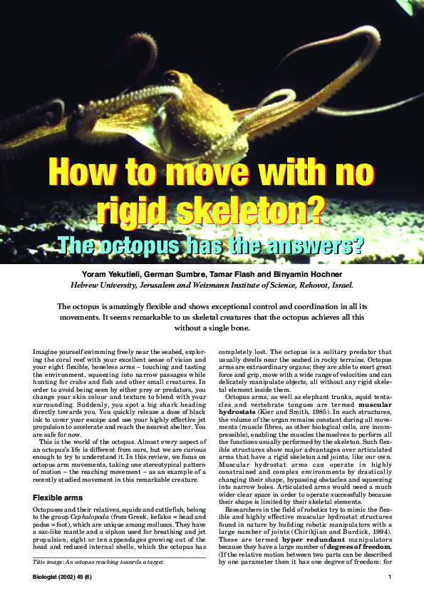 (PDF) How to move with no rigid skeleton? The octopus has the answers
