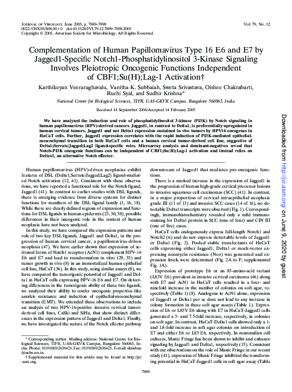 (PDF) Complementation of Human Papillomavirus Type 16 E6 and E7 by ...