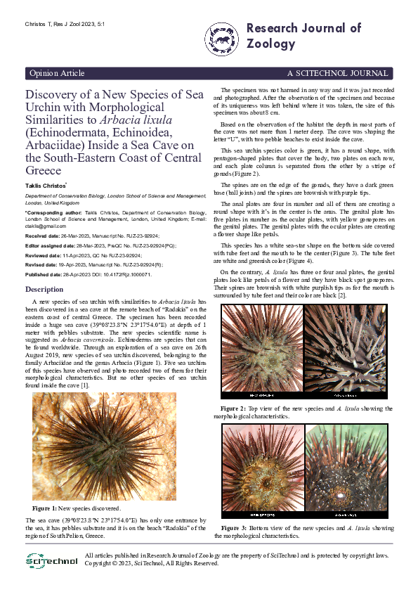 PDF) Discovery of a New Species of Sea Urchin with Morphological