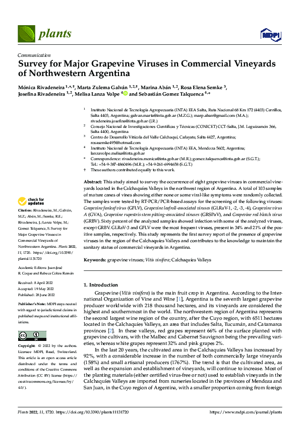 (PDF) Survey for Major Grapevine Viruses in Commercial Vineyards of ...