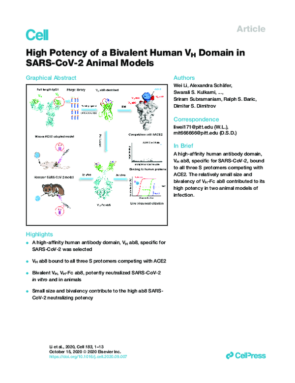 (PDF) High Potency of a Bivalent Human VH Domain in SARS-CoV-2 Animal ...