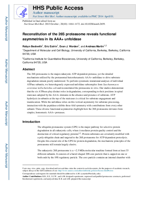(PDF) Reconstitution of the 26S proteasome reveals functional ...