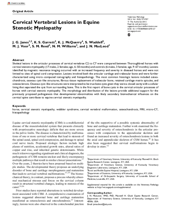 (PDF) Cervical Vertebral Lesions in Equine Stenotic Myelopathy