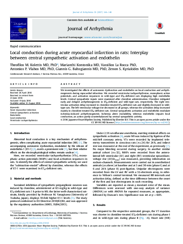 (PDF) Local conduction during acute myocardial infarction in rats ...