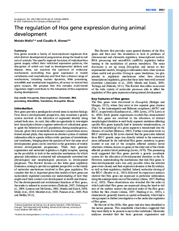 (PDF) The regulation of Hox gene expression during animal development