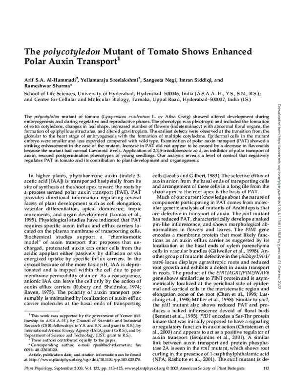 (PDF) The polycotyledon Mutant of Tomato Shows Enhanced Polar Auxin ...