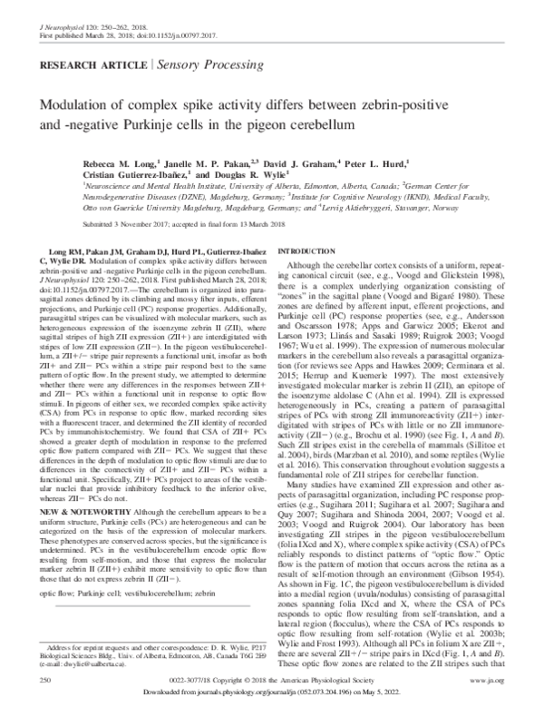 (PDF) Modulation of complex spike activity differs between zebrin ...
