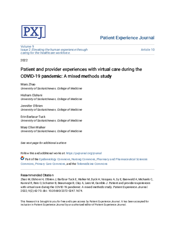 (PDF) Patient and provider experiences with virtual care during the ...