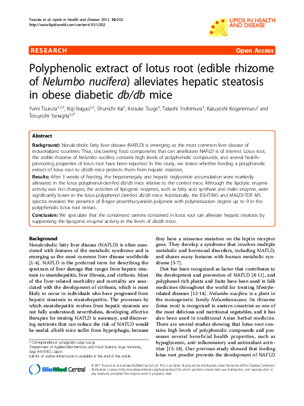 (PDF) Polyphenolic extract of lotus root (edible rhizome of Nelumbo ...