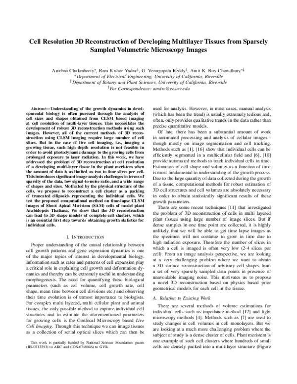 (PDF) Cell Resolution 3D Reconstruction of Developing Multilayer ...