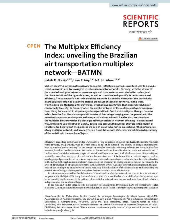 (PDF) The Multiplex Efficiency Index: unveiling the Brazilian air ...