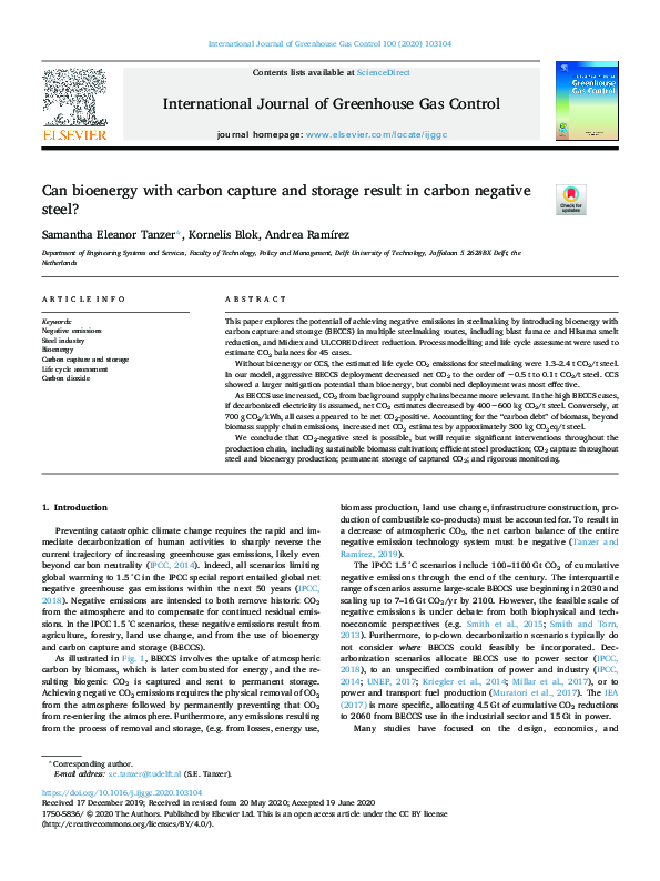 (PDF) Can bioenergy with carbon capture and storage result in carbon ...