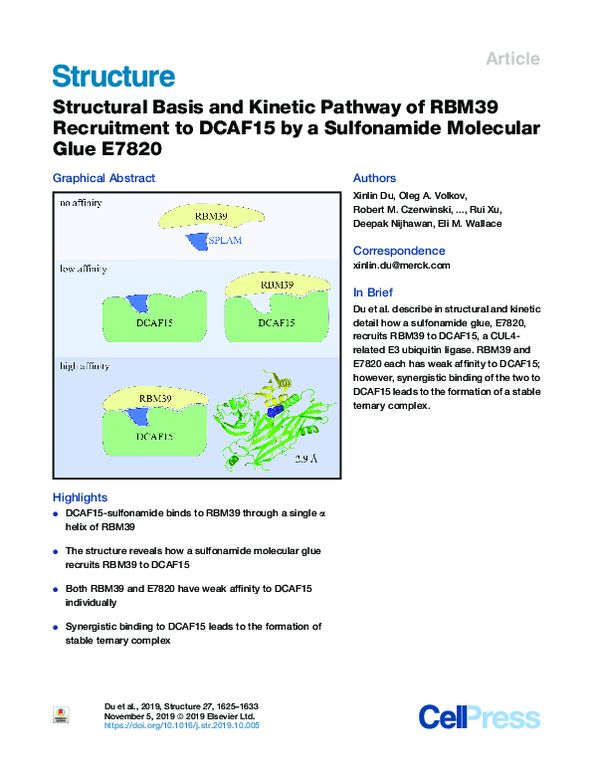 (PDF) Structural Basis and Kinetic Pathway of RBM39 Recruitment to ...