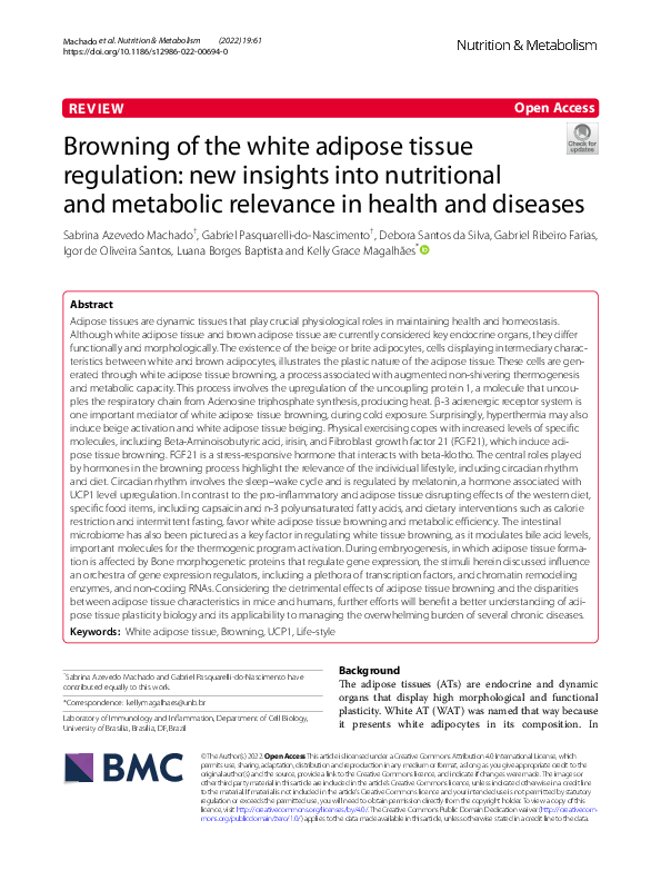(PDF) Browning of the white adipose tissue regulation: new insights ...