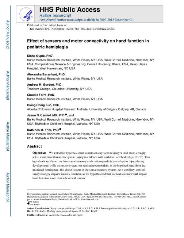 (PDF) Effect of sensory and motor connectivity on hand function in ...