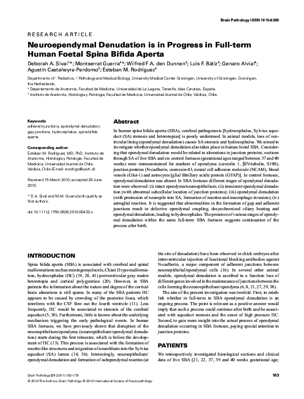 (PDF) Neuroependymal Denudation is in Progress in Full-term Human ...