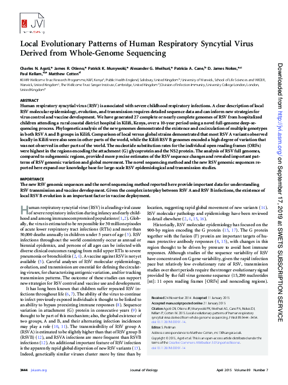 (PDF) Local Evolutionary Patterns of Human Respiratory Syncytial Virus ...