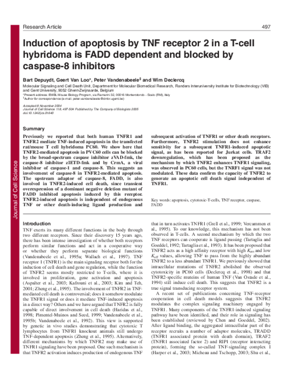 (PDF) Induction of apoptosis by TNF receptor 2 in a T-cell hybridoma is ...