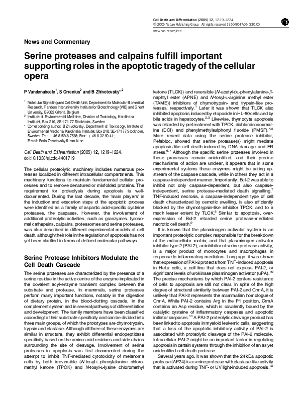 (PDF) Serine proteases and calpains fulfill important supporting roles ...