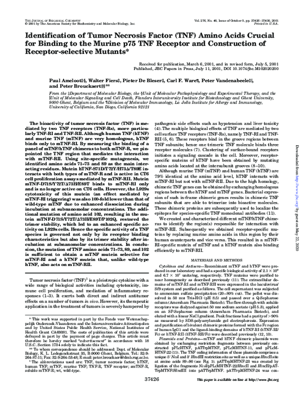 (PDF) Identification of Tumor Necrosis Factor (TNF) Amino Acids Crucial ...