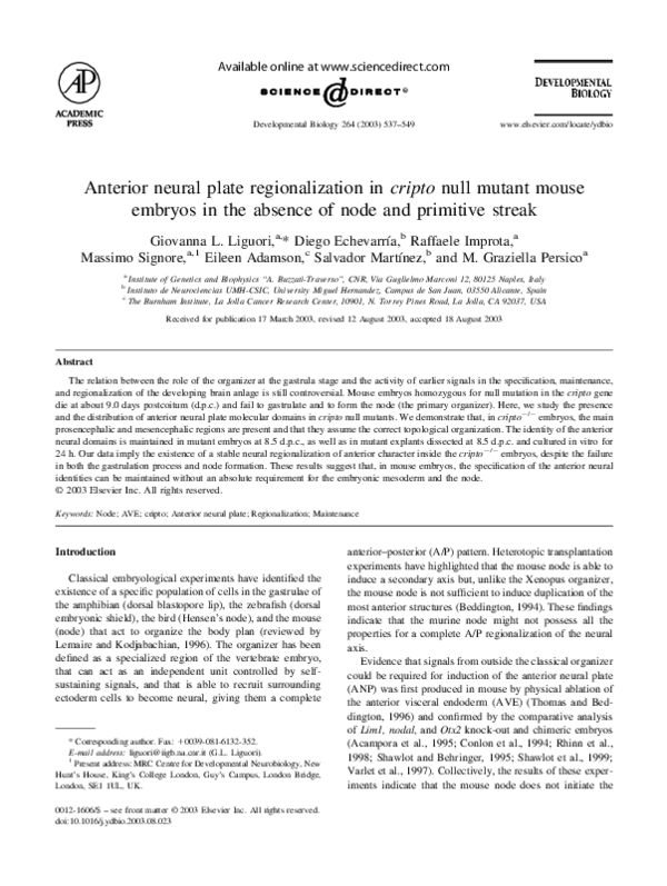 (PDF) Anterior neural plate regionalization in cripto null mutant mouse ...