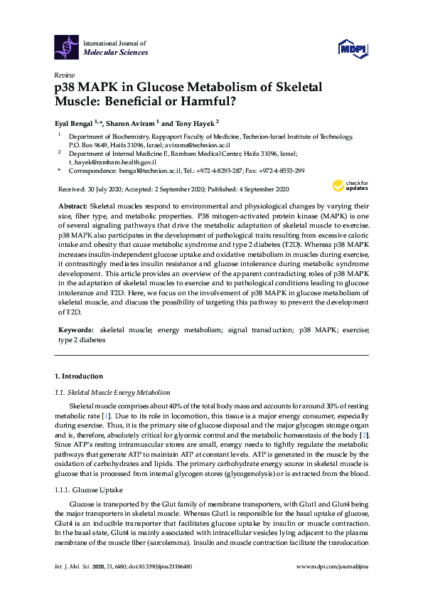 (PDF) p38 MAPK in Glucose Metabolism of Skeletal Muscle: Beneficial or ...