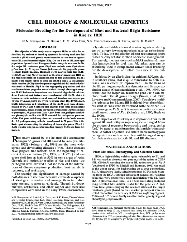 (PDF) Molecular Breeding for the Development of Blast and Bacterial ...