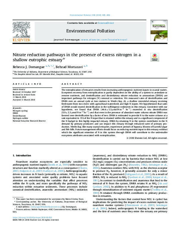 (PDF) Nitrate reduction pathways in the presence of excess nitrogen in ...