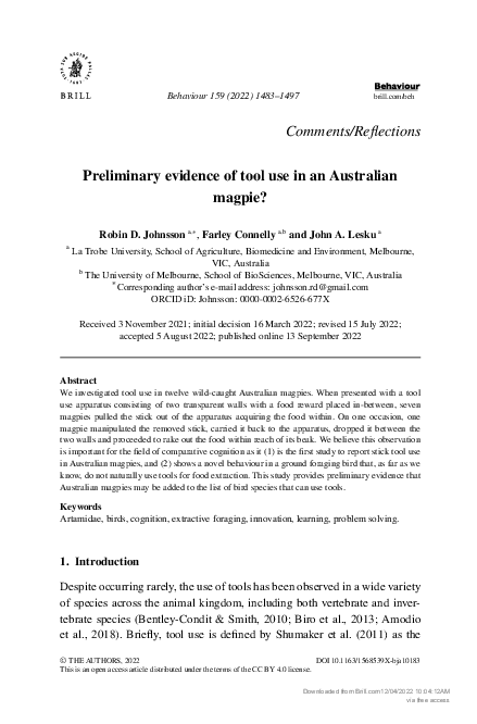 (PDF) Preliminary evidence of tool use in an Australian magpie?