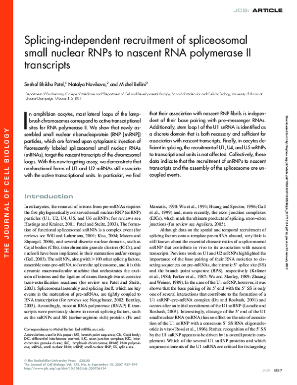 (PDF) Splicing-independent recruitment of spliceosomal small nuclear ...