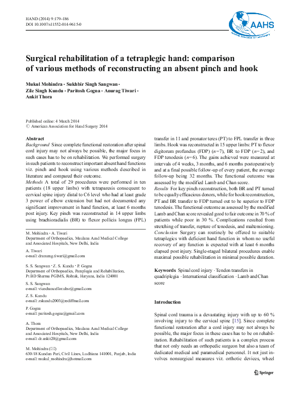 (PDF) Surgical rehabilitation of a tetraplegic hand: comparison of ...