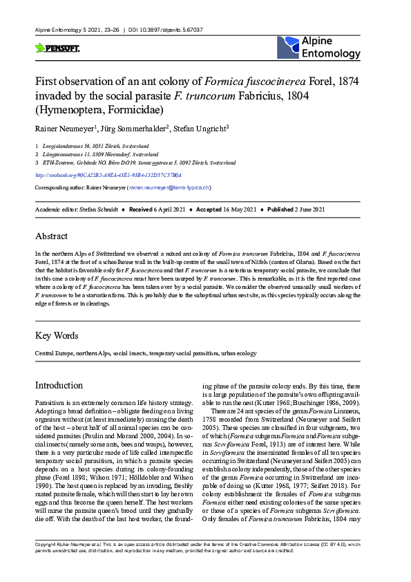 (PDF) First observation of an ant colony of Formica fuscocinerea Forel ...