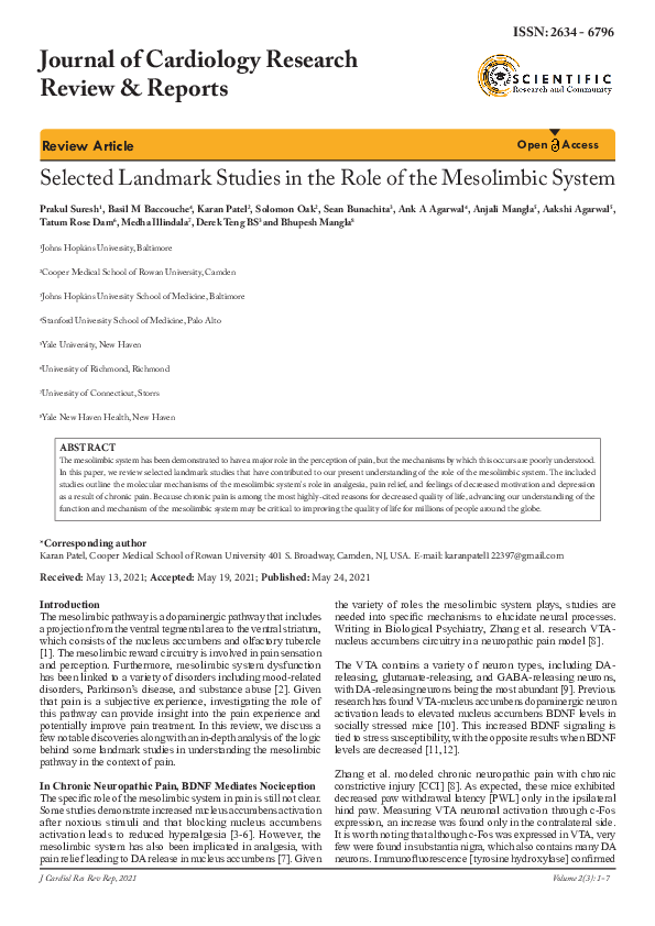 (PDF) Selected Landmark Studies in the Role of the Mesolimbic System