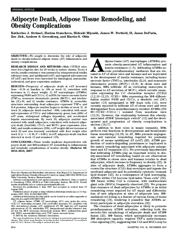 (PDF) Adipocyte Death, Adipose Tissue Remodeling, and Obesity Complications