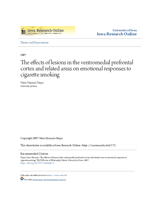 (PDF) The effects of lesions in the ventromedial prefrontal cortex and ...