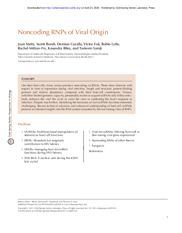 (PDF) Noncoding RNPs of Viral Origin
