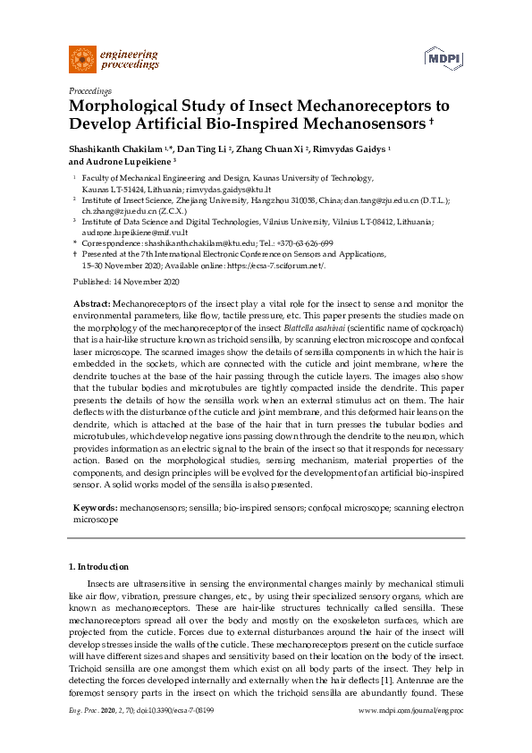 (PDF) Morphological Study of Insect Mechanoreceptors to Develop ...