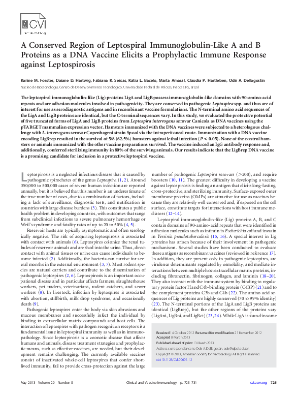 (PDF) A Conserved Region of Leptospiral Immunoglobulin-Like A and B ...