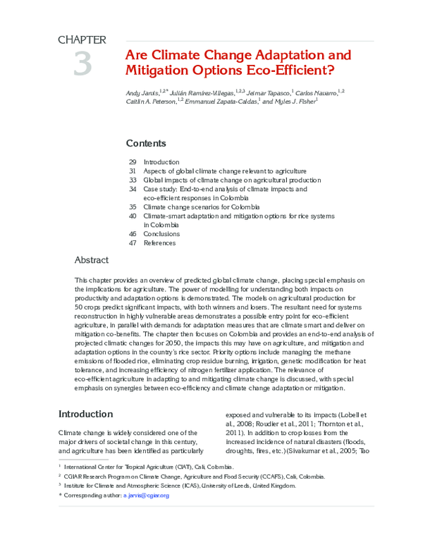 (PDF) Are climate change adaptation and mitigation options eco-efficient