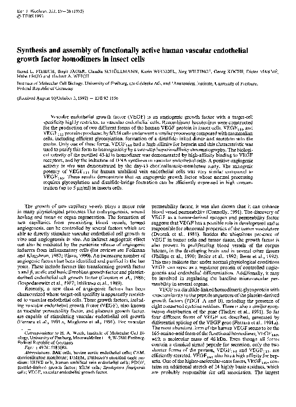 (PDF) Synthesis and assembly of functionally active human vascular ...