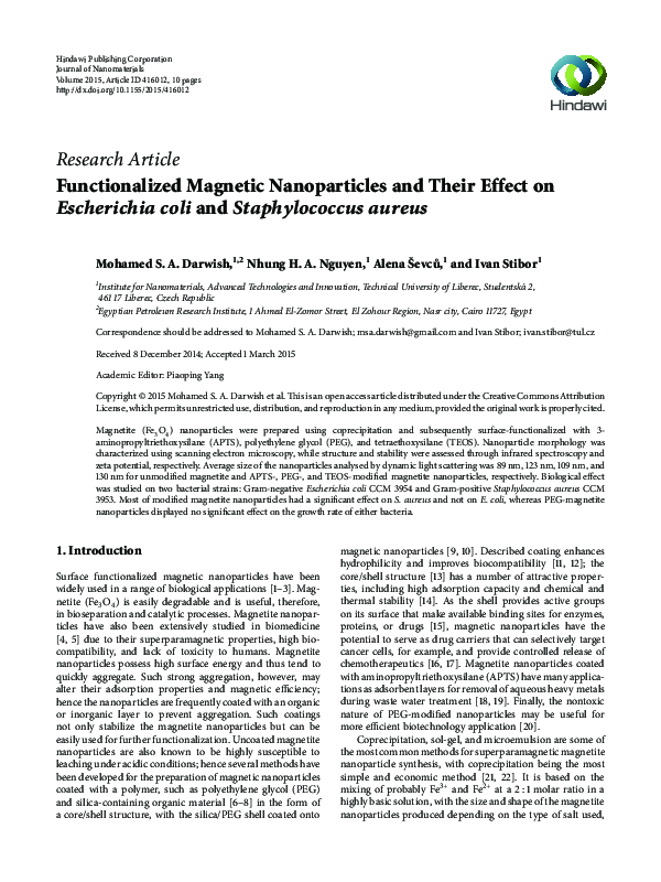 (PDF) Functionalized Magnetic Nanoparticles and Their Effect ...