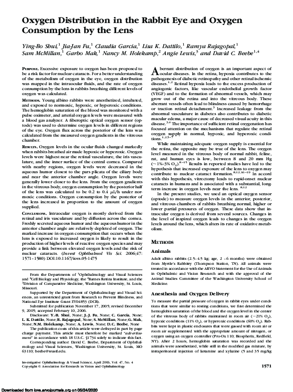 (PDF) Oxygen Distribution in the Rabbit Eye and Oxygen Consumption by ...
