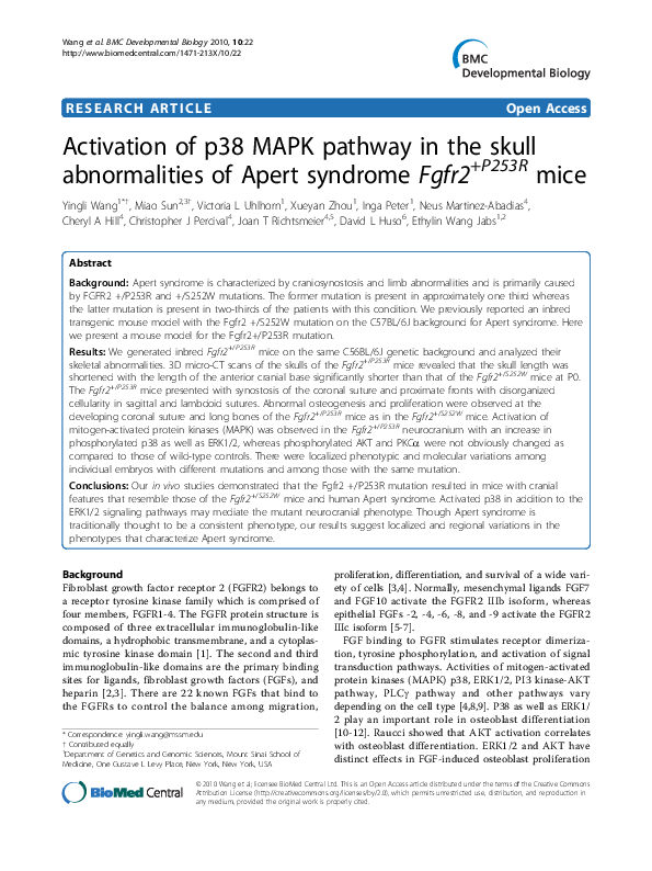 (PDF) Activation of p38 MAPK pathway in the skull abnormalities of ...