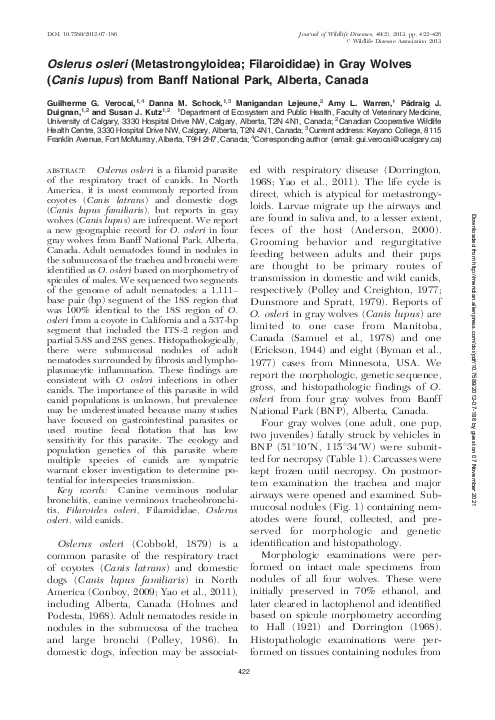 (PDF) Oslerus osleri (Metastrongyloidea; Filaroididae) in Gray Wolves ...