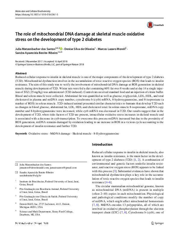 (PDF) The role of mitochondrial DNA damage at skeletal muscle oxidative ...