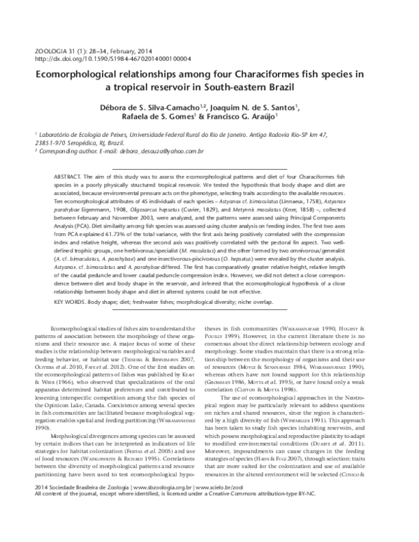 (PDF) Ecomorphological relationships among four Characiformes fish ...