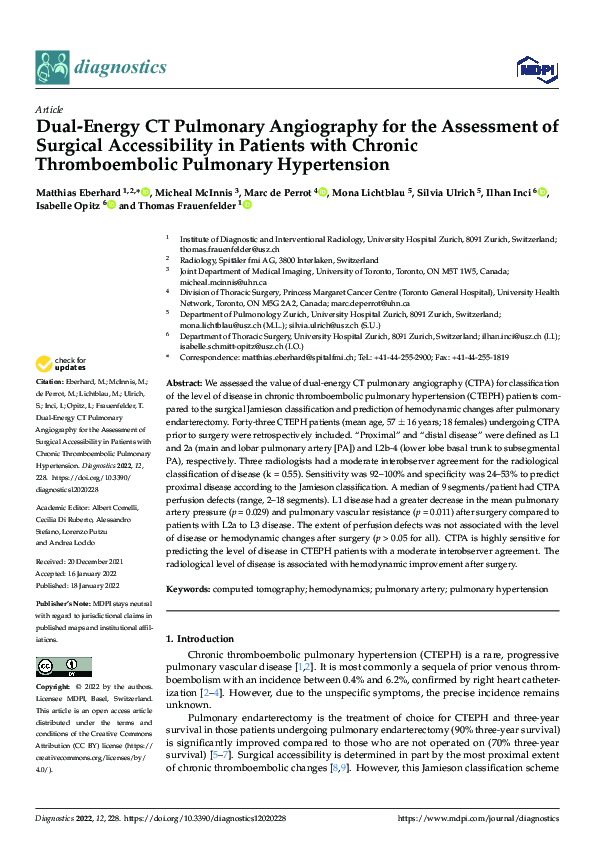 (PDF) Dual-Energy CT Pulmonary Angiography for the Assessment of ...