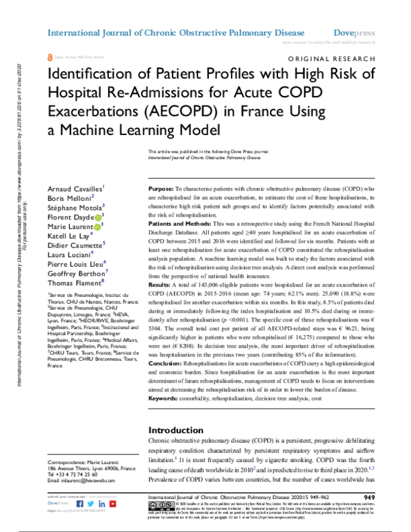 (PDF) Identification of Patient Profiles with High Risk of Hospital Re ...