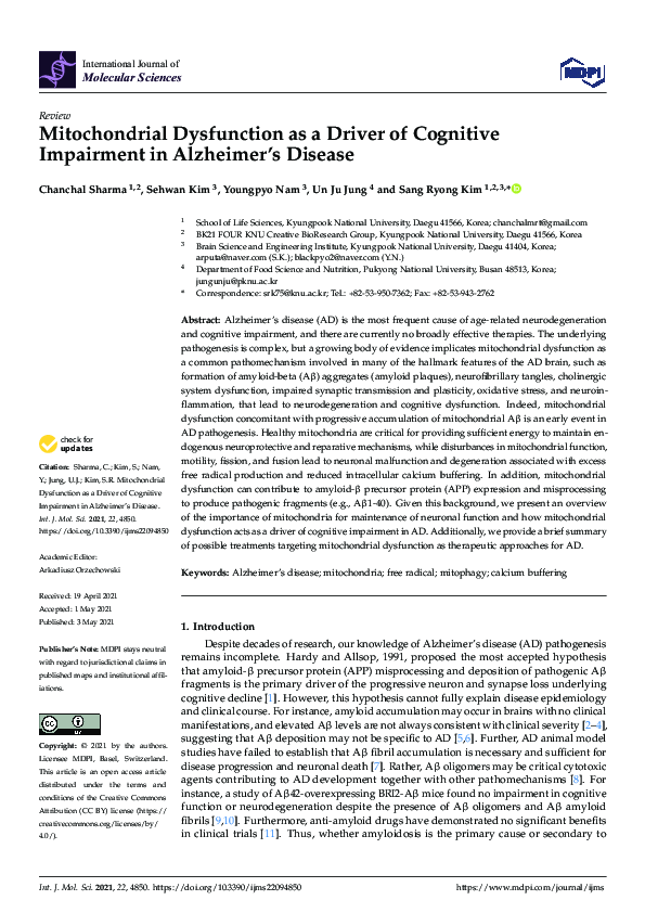 (PDF) Mitochondrial Dysfunction as a Driver of Cognitive Impairment in ...